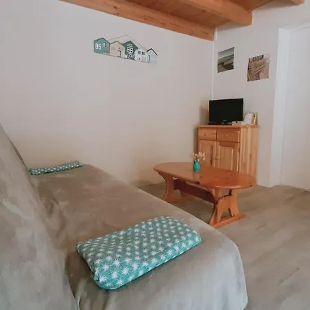 Maison De 300 M De La Proche Foret Feriehus Saint-Hilaire-de-Riez