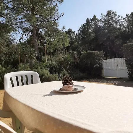 Maison De 300 M De La Proche Foret