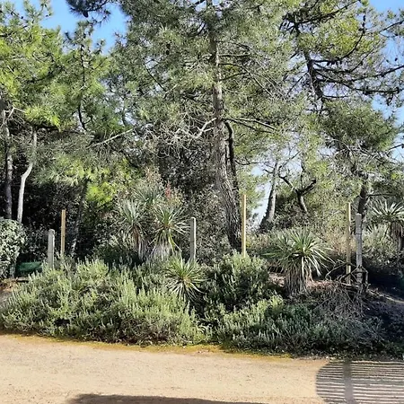 Maison De 300 M De La Proche Foret Feriehus