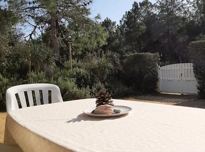 Maison De 300 M De La Proche Foret