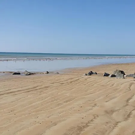 Hébergement de vacances Maison De 300 M De La Proche Forêt *