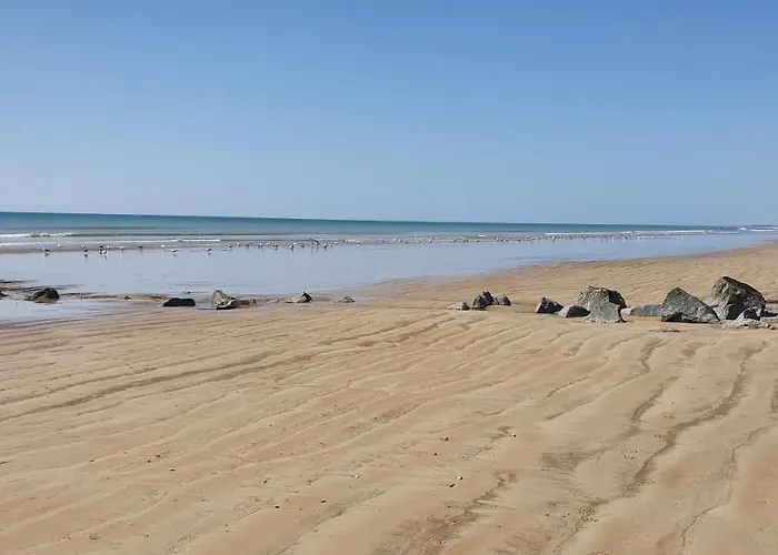 Hébergement de vacances Maison De 300 M De La Proche Forêt *