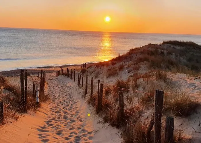 Maison De 300 M De La Proche Forêt Hébergement de vacances *