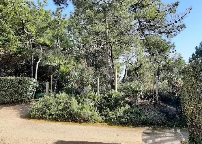 Maison De 300 M De La Proche Forêt Hébergement de vacances
